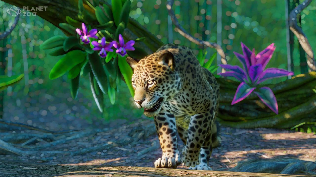 Planet Zoo - South America Pack DLC Steam Altergift 12.5 $