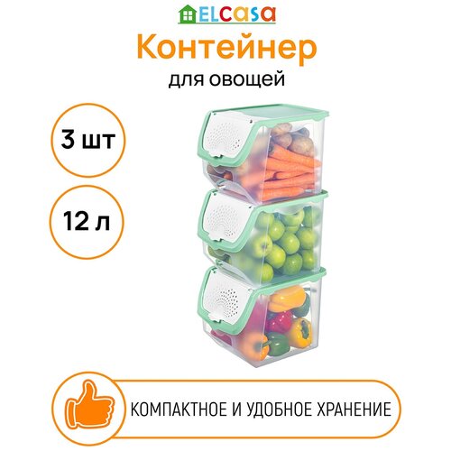 Контейнер для овощей 12 л 33х23х23,5 см EL Casa Прозрачно-фисташковый, 3 штуки фотография