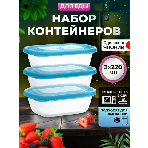 Контейнер для еды пластиковый с крышкой набор 3 шт, 220 мл (H), 12,8х9,2х4,1 см фотография