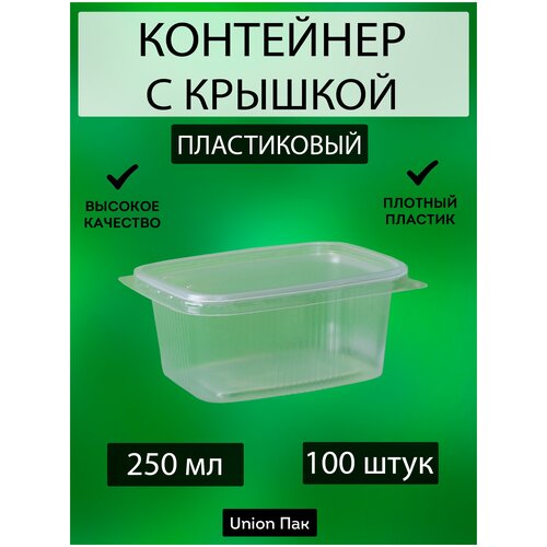 Контейнер с крышкой одноразовый пластиковый 250 мл 100 штук фотография