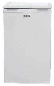 Refrigerator Delfa DMF-85 larawan pagsusuri