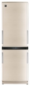 Refrigerator Sharp SJ-WP320TBE larawan pagsusuri