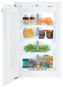Refrigerator Liebherr IGN 1654 larawan pagsusuri