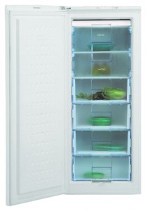 Refrigerator BEKO FSA 21300 larawan pagsusuri