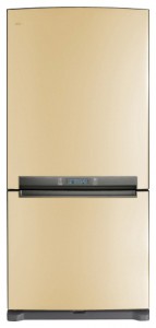 Buzdolabı Samsung RL-62 ZBVB fotoğraf gözden geçirmek