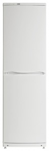 Холодильник ATLANT ХМ 6023-014 Фото обзор