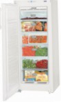 лучшая Liebherr GNP 2313 Холодильник обзор