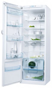 Refrigerator Electrolux ERE 39391 W8 larawan pagsusuri