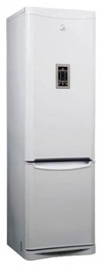 Refrigerator Hotpoint-Ariston RMBH 1200 F larawan pagsusuri