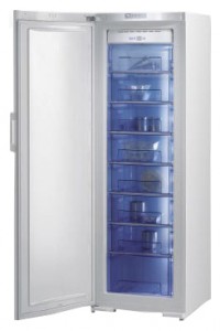 Холодильник Gorenje FN 61230 DW Фото обзор