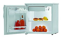 Холодильник Gorenje R 0907 BAC Фото обзор