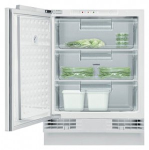 Холодильник Gaggenau RF 200-200 Фото обзор