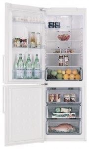 Kühlschrank Samsung RL-40 HGSW Foto Rezension