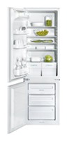 Холодильник Zanussi ZI 3104 RV Фото обзор