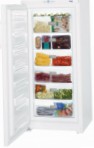лучшая Liebherr GP 3013 Холодильник обзор