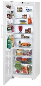 Refrigerator Liebherr KB 4210 larawan pagsusuri