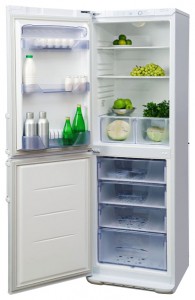 Refrigerator Бирюса 131 KLA larawan pagsusuri