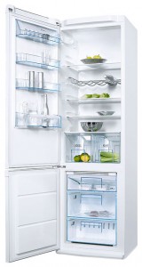 Kühlschrank Electrolux ENB 38000 W Foto Rezension