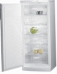 pinakamahusay Gorenje F 6248 W Refrigerator pagsusuri