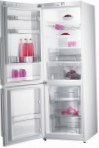 pinakamahusay Gorenje RK 65 SYW Refrigerator pagsusuri