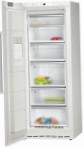най-доброто Siemens GS24NA23 Хладилник преглед