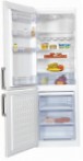 tốt nhất BEKO CS 234020 Tủ lạnh kiểm tra lại