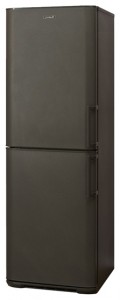 Kühlschrank Бирюса W125 KLSS Foto Rezension