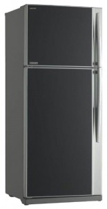 Hűtő Toshiba GR-RG70UD-L (GU) Fénykép felülvizsgálat
