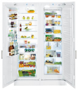 Refrigerator Liebherr SBS 70I4 larawan pagsusuri