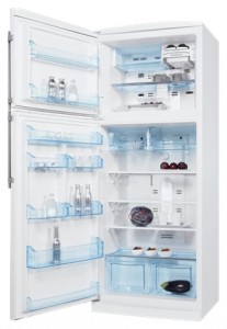 Refrigerator Electrolux END 44501 W larawan pagsusuri