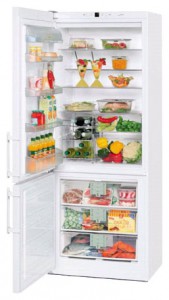 Холодильник Liebherr CN 5013 Фото обзор