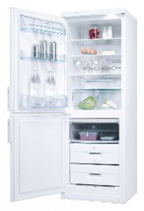 Tủ lạnh Electrolux ERB 31099 W ảnh kiểm tra lại