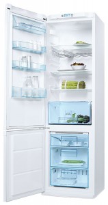 Kühlschrank Electrolux ENB 38400 Foto Rezension