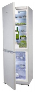 Холодильник Snaige RF360-1881А Фото обзор