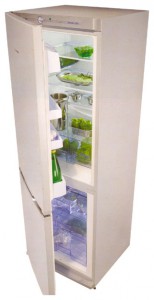 Kühlschrank Snaige RF31SM-S1MA01 Foto Rezension