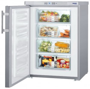 Refrigerator Liebherr GPesf 1476 larawan pagsusuri