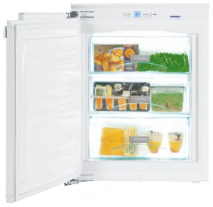 Refrigerator Liebherr IG 1014 larawan pagsusuri