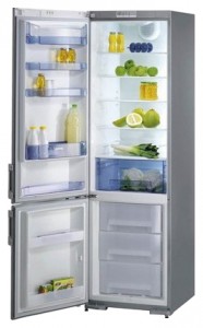 Холодильник Gorenje RK 61391 E Фото обзор