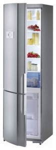 Refrigerator Gorenje RK 63393 E larawan pagsusuri