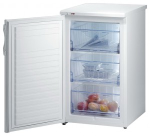 Tủ lạnh Gorenje F 50106 W ảnh kiểm tra lại