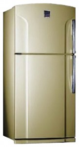 Kühlschrank Toshiba GR-Y74RD СS Foto Rezension