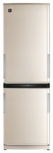 Kühlschrank Sharp SJ-WM322TB Foto Rezension
