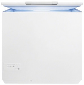 Refrigerator Electrolux EC 12800 AW larawan pagsusuri