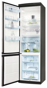 Refrigerator Electrolux ERB 40033 X larawan pagsusuri
