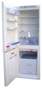Kühlschrank Snaige RF36SH-S10001 Foto Rezension