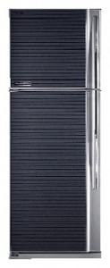 Kühlschrank Toshiba GR-MG54RD GB Foto Rezension