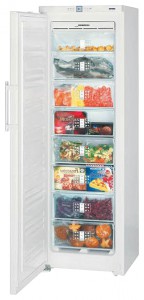Refrigerator Liebherr GNP 3056 larawan pagsusuri