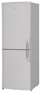 Refrigerator BEKO CSA 24032 larawan pagsusuri