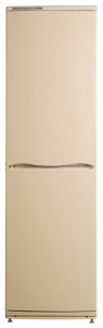 Refrigerator ATLANT ХМ 6025-081 larawan pagsusuri