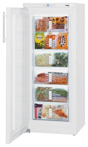 Refrigerator Liebherr G 2433 larawan pagsusuri